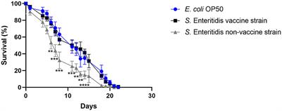 The nematode worm Caenorhabditis elegans as an animal experiment replacement for assessing the virulence of different Salmonella enterica strains